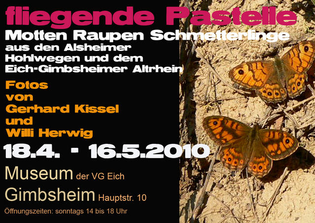 Einladung Schmetterlinge